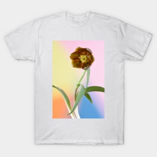 Fritillaria davisii Davis fritillary, T-Shirt